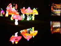IMG 5697